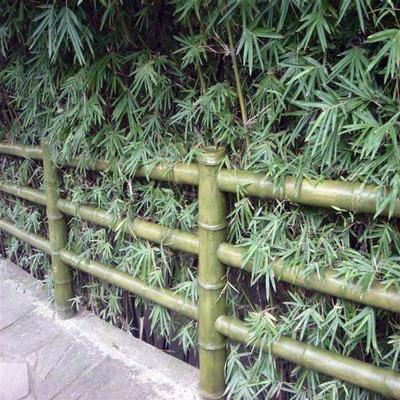 竹子圍欄 仿竹欄桿 公園景區(qū)竹籬笆 仿竹護(hù)欄