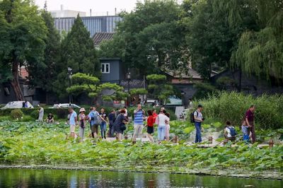 森林進(jìn)城 公園下鄉(xiāng) 讓首都北京“美起來”!